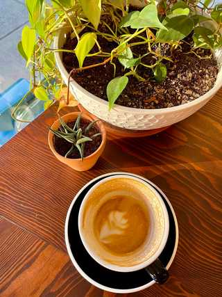 Empty coffee cup in sunlight at Analog Coffee