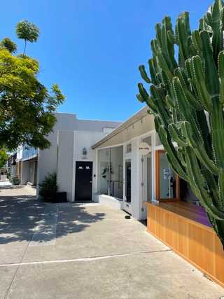 A huge cactus in front of shops at Bird Rock neighbourhood