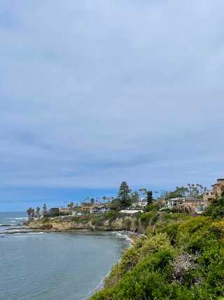 A lovely view of huge houses by the Pacific Ocean
