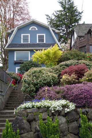 A wonderful uphill garden of an old wooden house