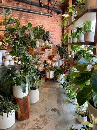 The modern indoors of Kin Dee Thai restaurant