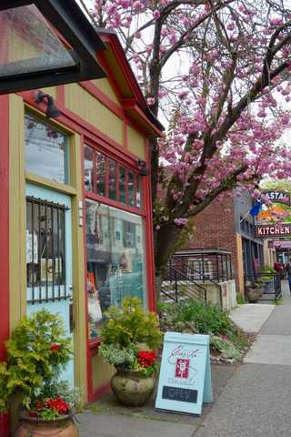 A delicious portion of pad see ew at Kin Dee