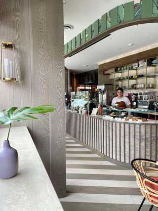 Beautiful coffee counter at Dodo Bird Donut at Bird Rock
