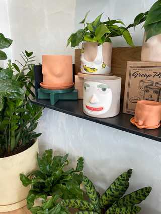 Funny flower pots with faces and breasts