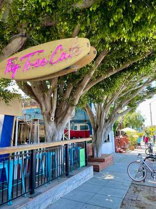 Fig Tree Cafe at Pacific Beach enveloped with big trees