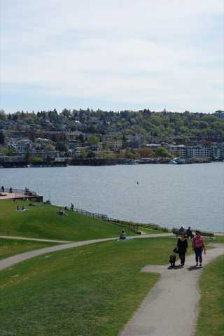 A hilly view of Gasworks Park and downtown behind