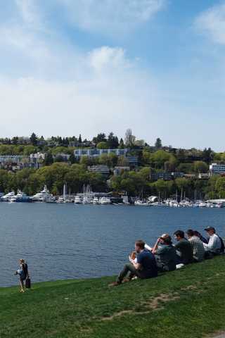 A group of people gazing towards downtown