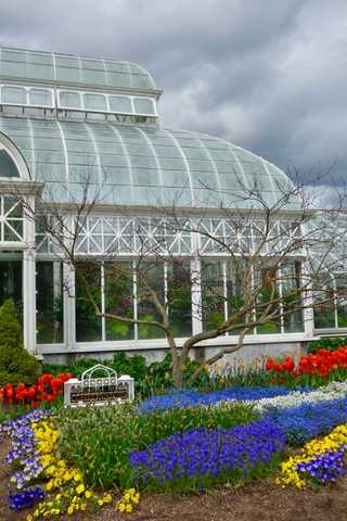 Greenhouse at Volunteer Park