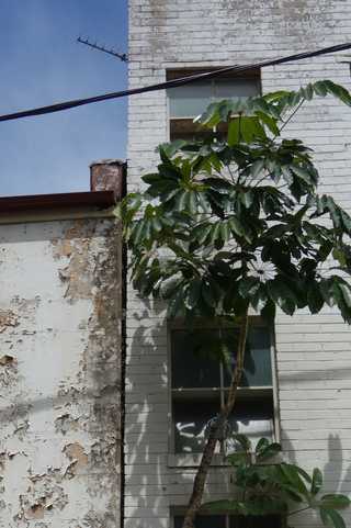 People sitting in the sun outside a coffee shop