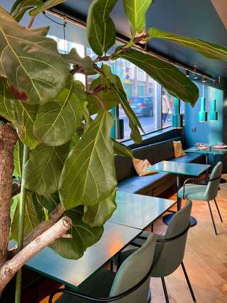Teal tables and metal lights at the breakfast room