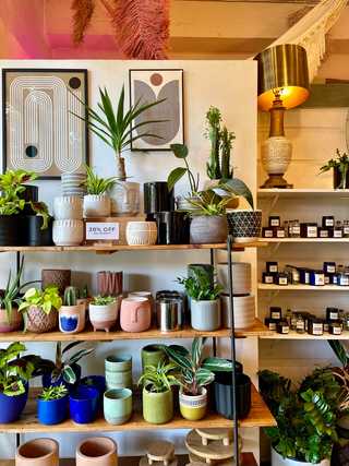 Inside of a local plant and decor shop
