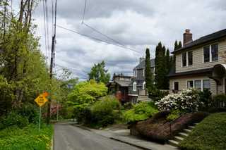 Quiet residential road in Capitol Hill surrounded by trees