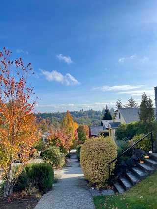 A beautiful residential street in full autumn colours