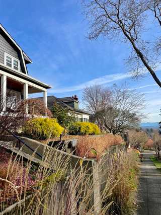 An autumnal view from residential street to mountains