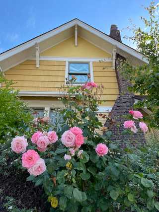 A yellow wooden houses surrounded by blooming roses