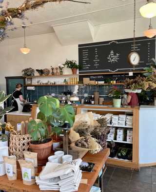 A cosy coffee and pastry counter at Volunteer Park Cafe