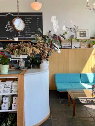 Green sofa corner athing in lights at Volunteer Park Cafe